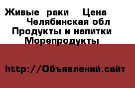 Живые  раки  › Цена ­ 600 - Челябинская обл. Продукты и напитки » Морепродукты   